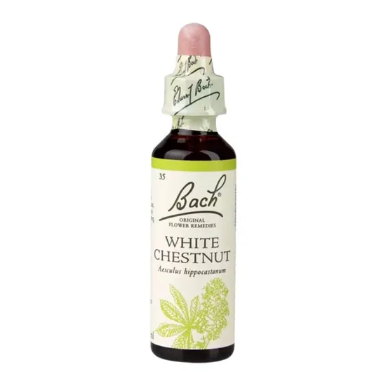 Bach Original Flower Remedies White Chestnut