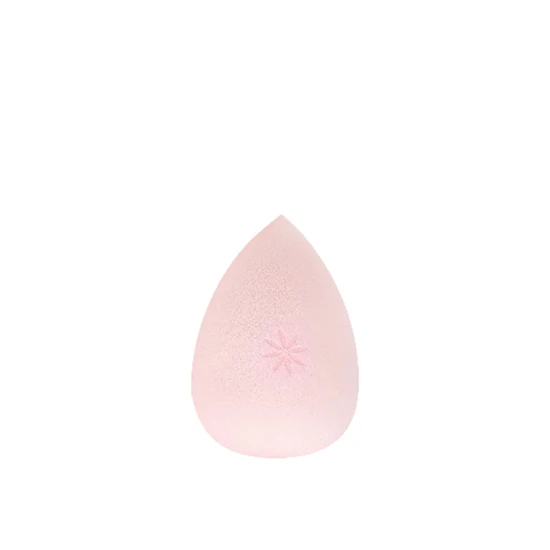 Brushworks Complexion Sponge