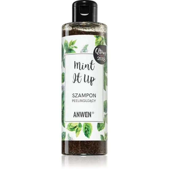 Anwen Mint It Up Shampoo