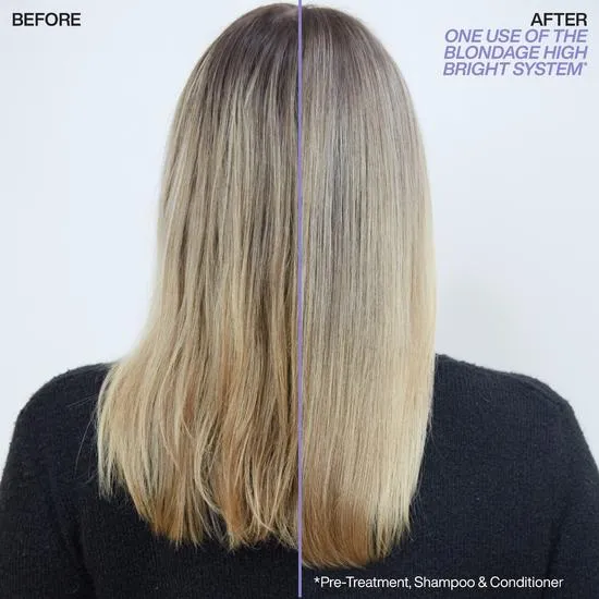 Redken Blondage High Bright Shampoo & Conditioner Duo