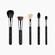 Sigma Beauty Classic Face Brush Set