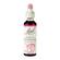 Bach Original Flower Remedies Star Of Bethlehem 20ml