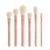 Sigma Beauty Christen Dominique Brush Set