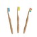 Dr Botanicals Vibrant Bamboo Toothbrush Kit