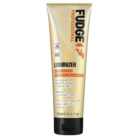Fudge Professional Luminizer Shampoo