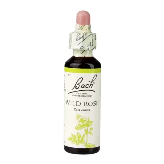 Bach Original Flower Remedies Wild Rose