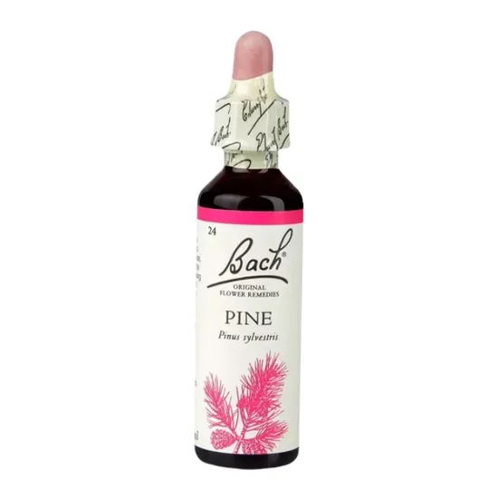 Bach Original Flower Remedies Pine