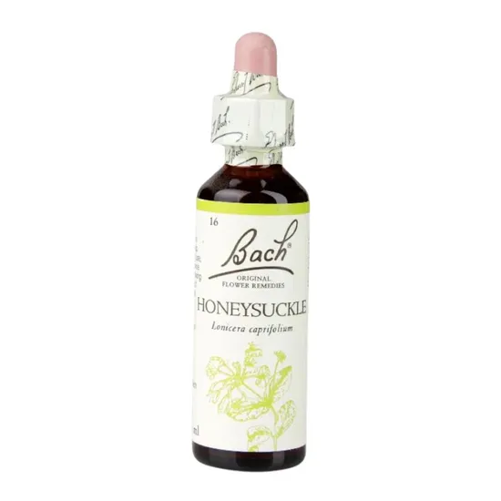 Bach Original Flower Remedies Honeysuckle