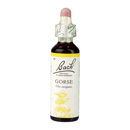 Bach Original Flower Remedies Gorse