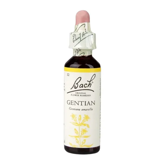 Bach Original Flower Remedies Gentian