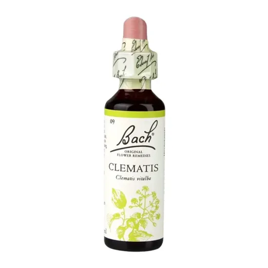 Bach Original Flower Remedies Clematis