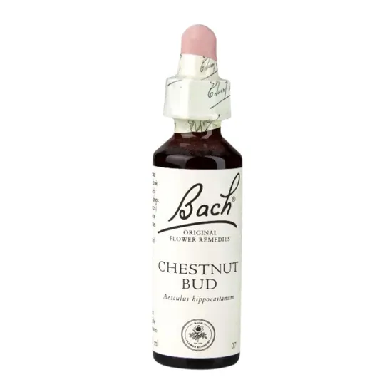 Bach Original Flower Remedies Chestnut Bud