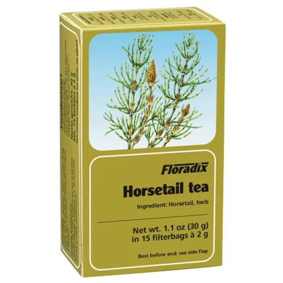 Floradix Horsetail Teabags