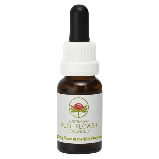 Australian Bush Flower Essences Dog Rose Of The Wild Forces