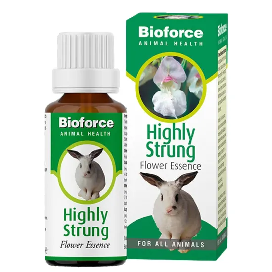 A.Vogel Highly Strung Essence