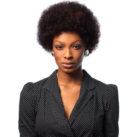 Sleek Hair Wig Fashion Human Hair Afro Wig