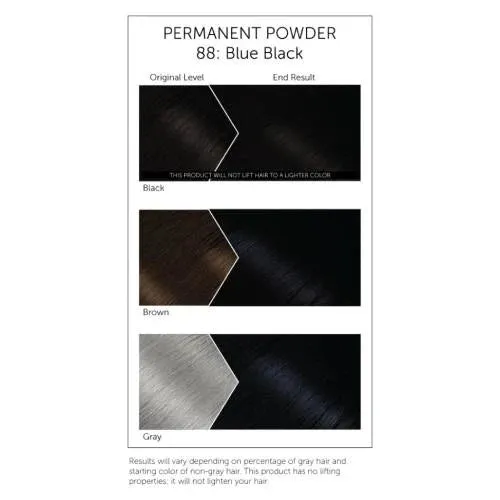 Bigen Permanent Powder Hair Colour Blue Black