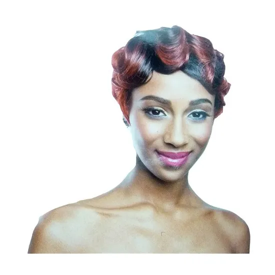 Mane Concept Hair Premiere Synthetic Nadia Jazz Wig 1B