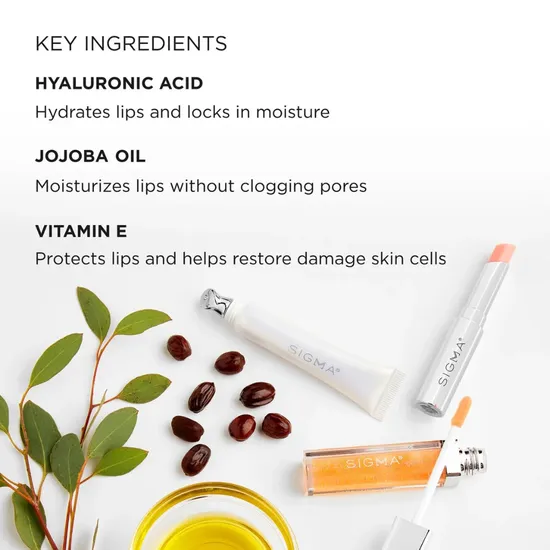 Sigma Beauty Lip Care Trio