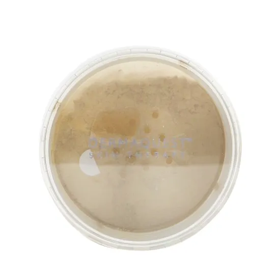 Dermaquest Dermaminerals Buildable Coverage Loose Mineral Powder Spf 20 4N