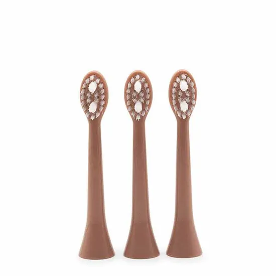 Spotlight Sonic Toothbrush Replacement Heads Rose Gold