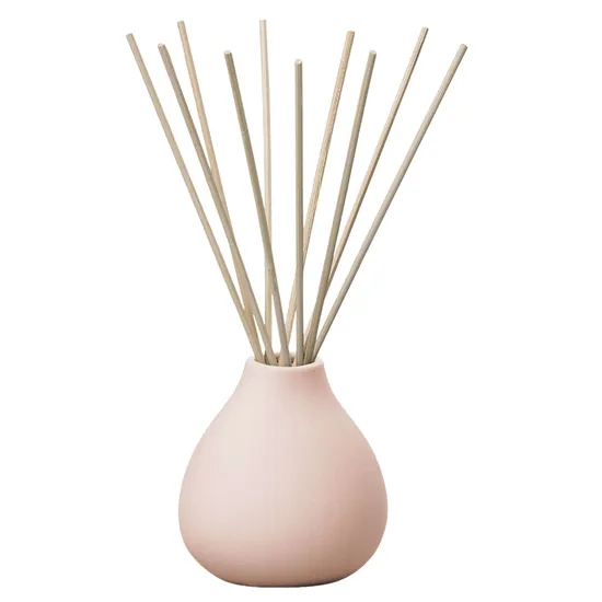 Aery Living Fernweh Parisian Rose Diffuser