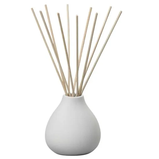 Aery Living Fernweh Nordic Cedar Diffuser