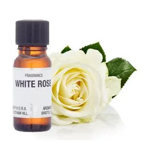 Amphora Aromatics White Rose Fragrance