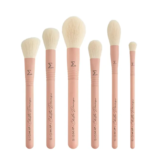 Sigma Beauty Christen Dominique Brush Set