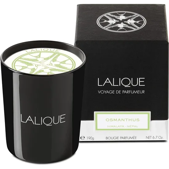 Lalique Osmanthus Himalaya Nepal Candle