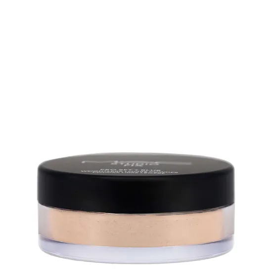 MAC Studio Fix Pro Set + Blur Weightless Loose Powder