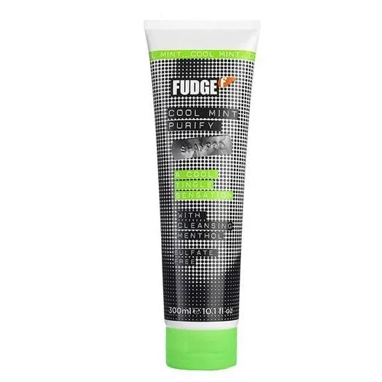Fudge Professional Cool Mint Purify Shampoo