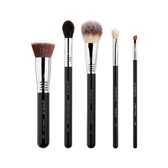Sigma Beauty Must Have Brush Set