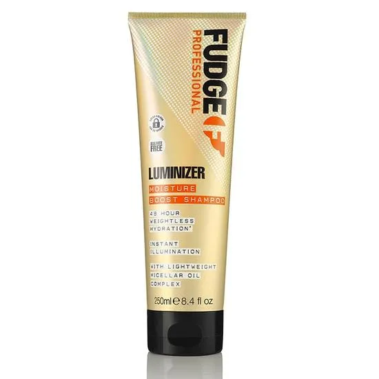 Fudge Professional Luminizer Shampoo