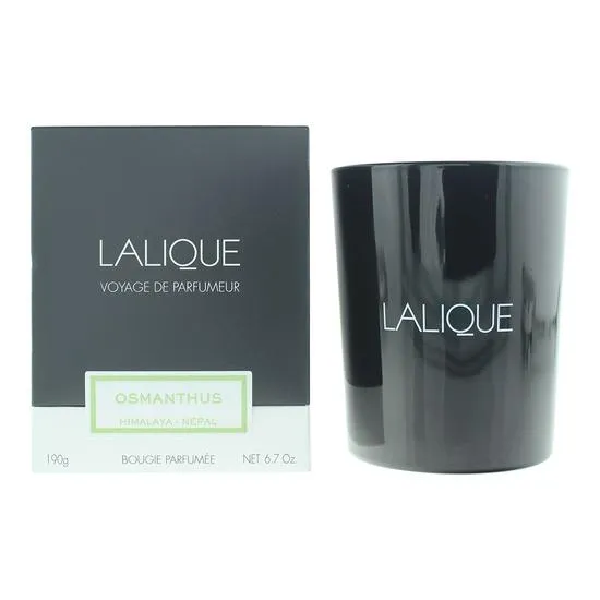Lalique Osmanthus Himalaya Nepal Candle
