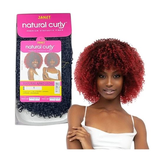 Janet Collection Natural Curly Natural Afro Leon Synthetic Wig