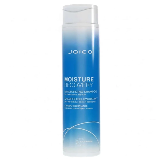 Joico Moisture Recovery Shampoo