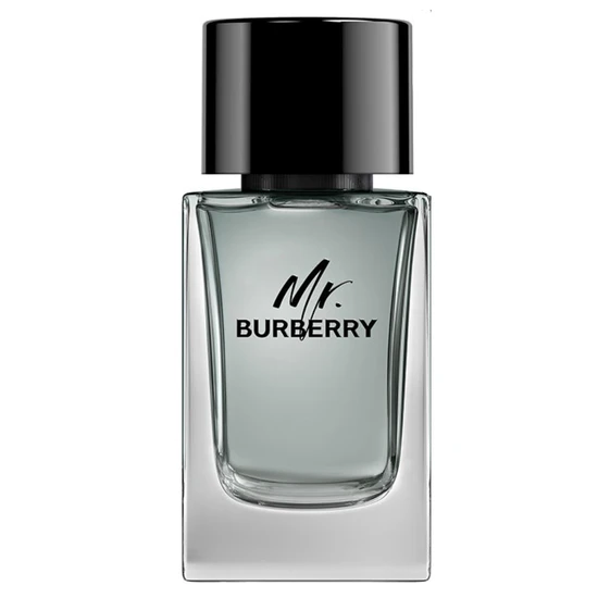 Burberry Mr. Eau De Toilette 100Ml