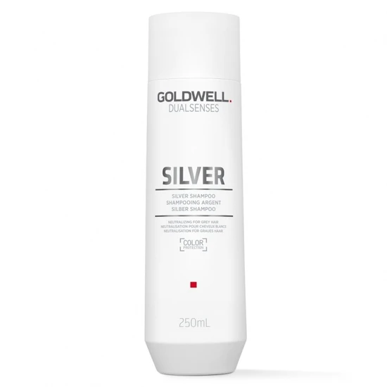 Goldwell Dual Senses Silver Shampoo