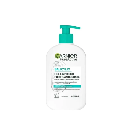 Garnier Pure Active Salicylic Purifying Gentle Cleanser