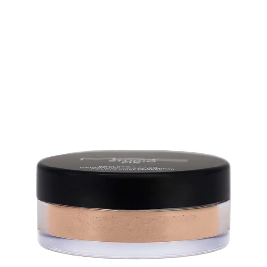 MAC Studio Fix Pro Set + Blur Weightless Loose Powder