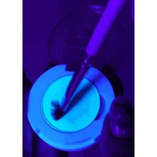 Glisten Cosmetics UV IT! Clear UV Eyeliner