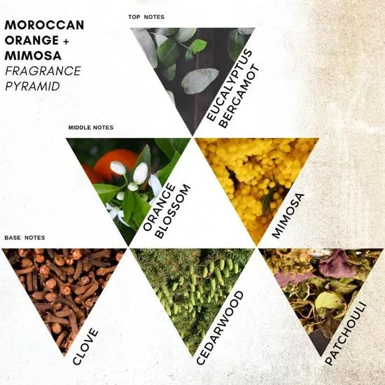 Holistic London Moroccan Orange + Mimosa Scented Candle 180ml