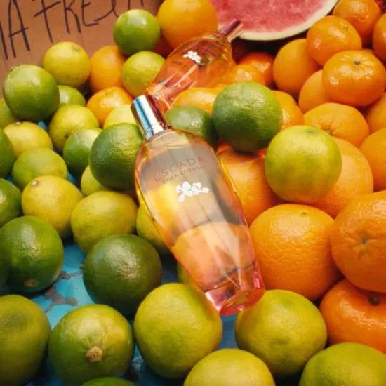 Escada Brisa Cubana Eau De Toilette 100ml