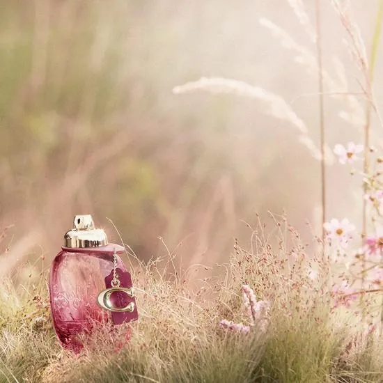 Coach Wild Rose Eau De Parfum 50ml