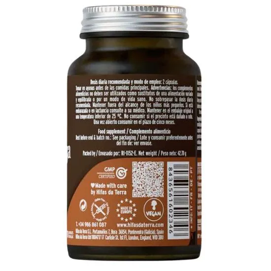 Hifas da Terra Mico-Chaga Capsules 70 Capsules