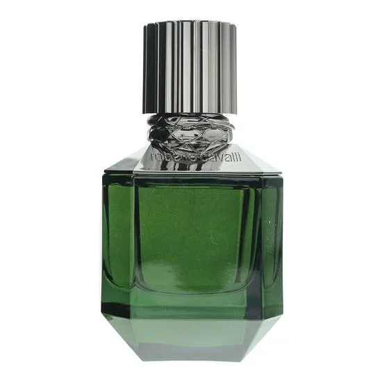 Roberto Cavalli Paradise Found For Men Eau De Toilette 50ml