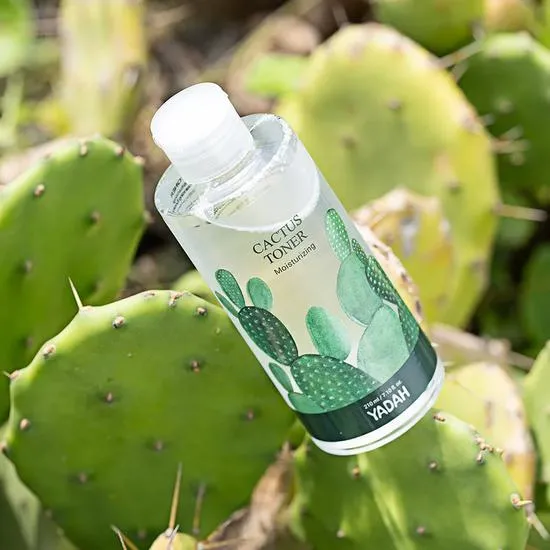 Yadah Cactus Toner 210ml