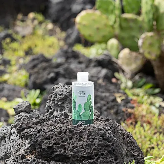 Yadah Cactus Toner 210ml