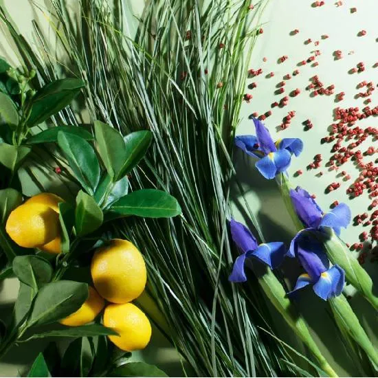 Chantecaille Vetyver Eau De Parfum 75ml